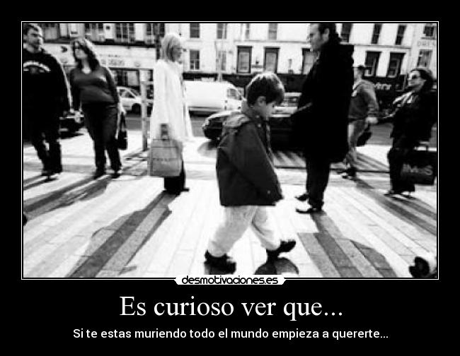 Es curioso ver que... - Si te estas muriendo todo el mundo empieza a quererte...
