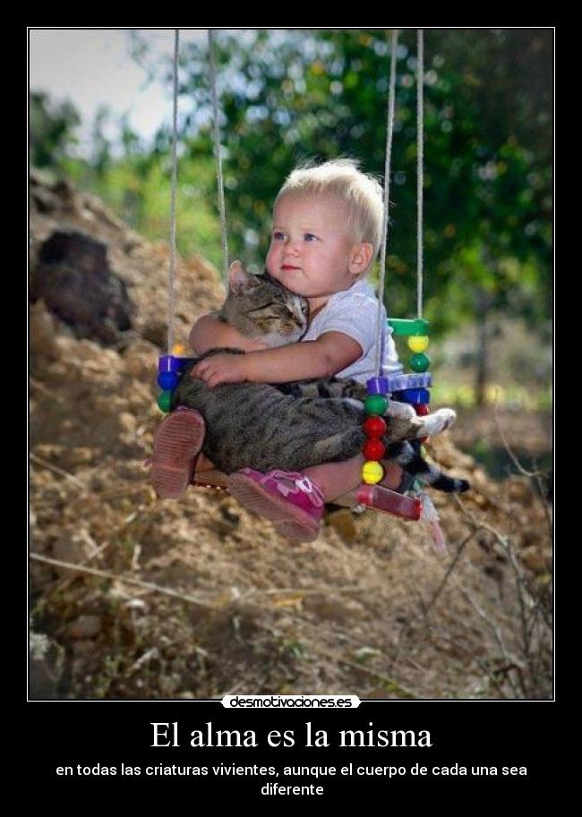 El alma es la misma - 