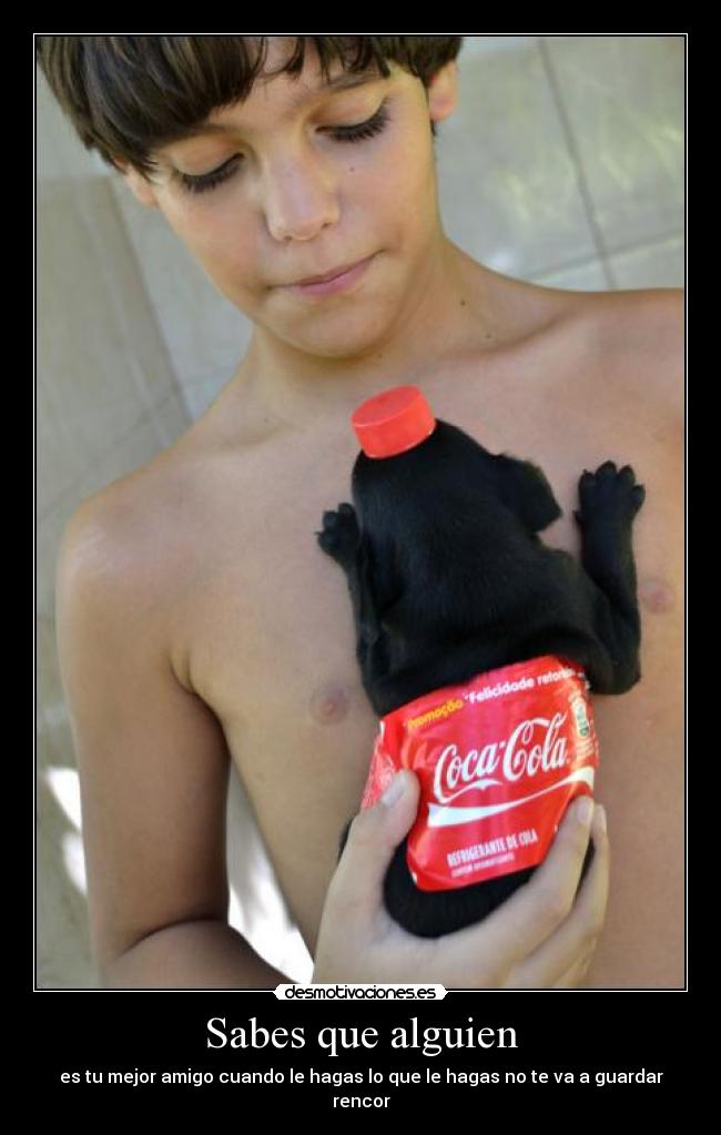 Sabes que alguien - es tu mejor amigo cuando le hagas lo que le hagas no te va a guardar rencor