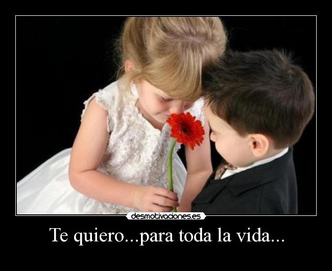 Imagenes Te Quiero Para Toda La Vida | te quiero para toda la vida desmotivaciones Imagenes Te Quiero Para Toda La Vida | te quiero para toda la vida desmotivaciones