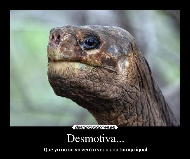 Desmotiva... -