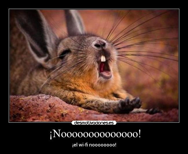 ¡Noooooooooooooo! -