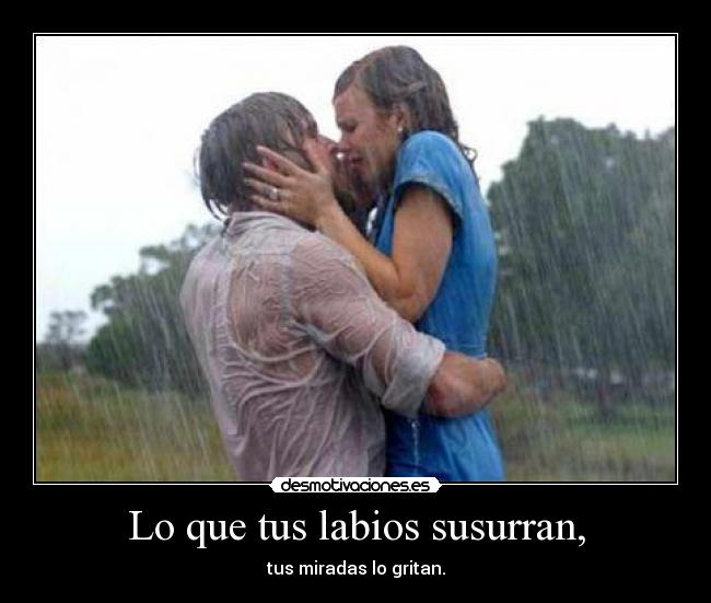 carteles maite verano desmotivaciones