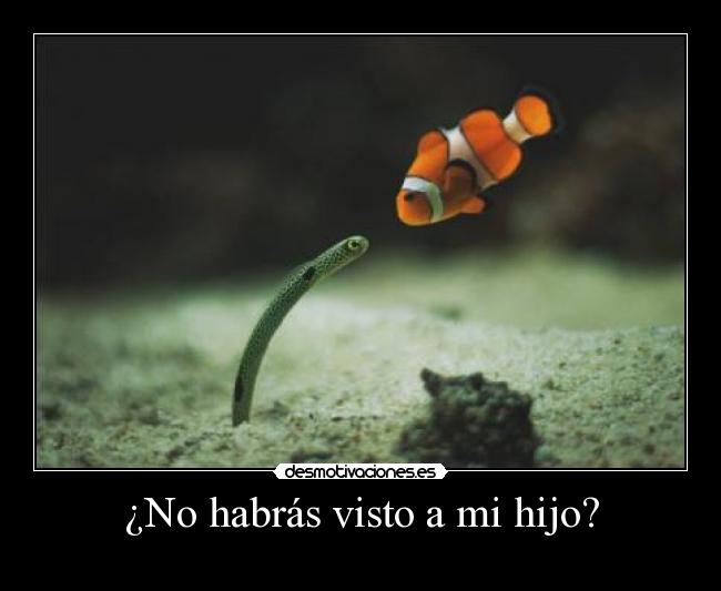 carteles nemo creo que llamaba desmotivaciones