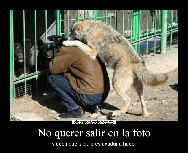 No querer salir en la foto -