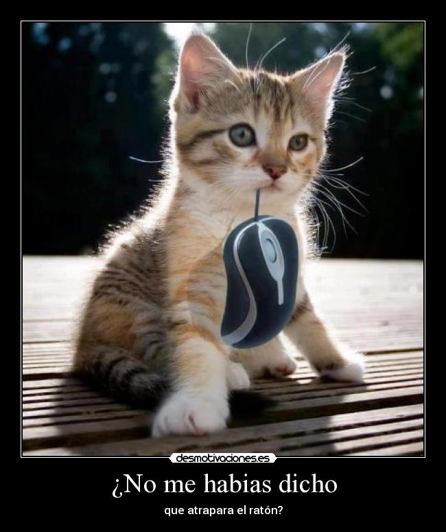 ¿No me habias dicho -