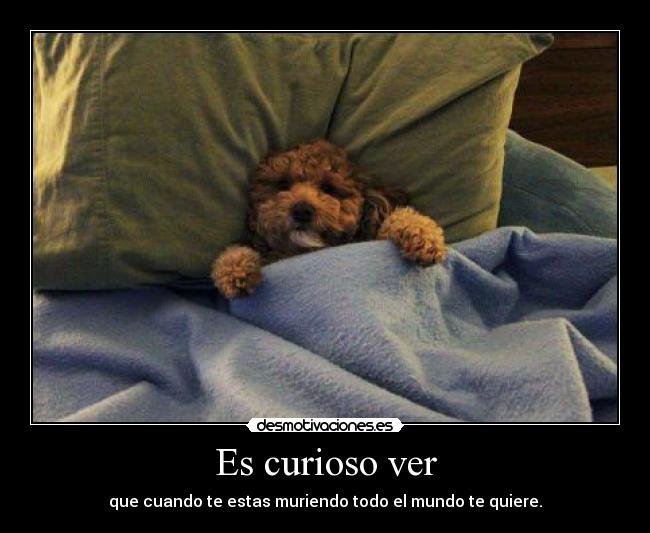 Es curioso ver -