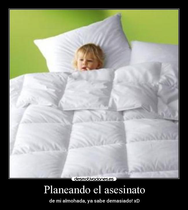 Planeando el asesinato - de mi almohada, ya sabe demasiado! xD