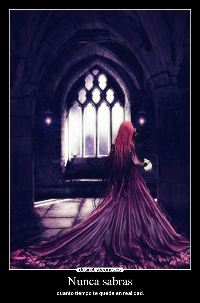 Nunca sabras -