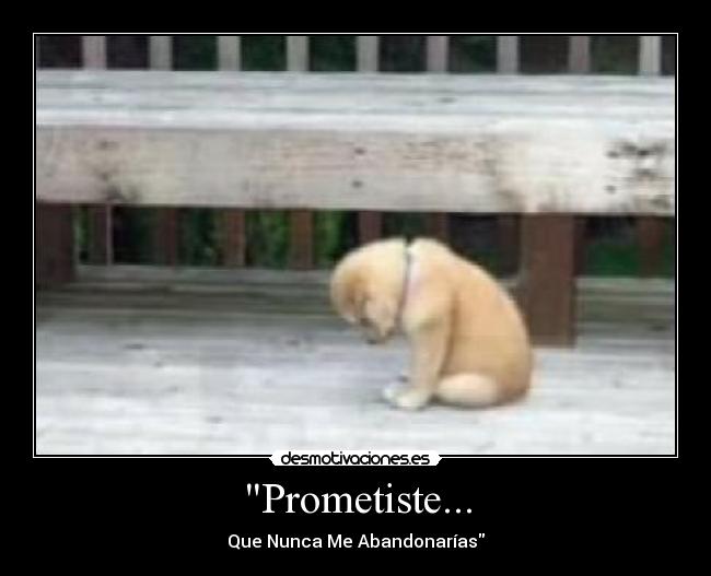 Prometiste... -