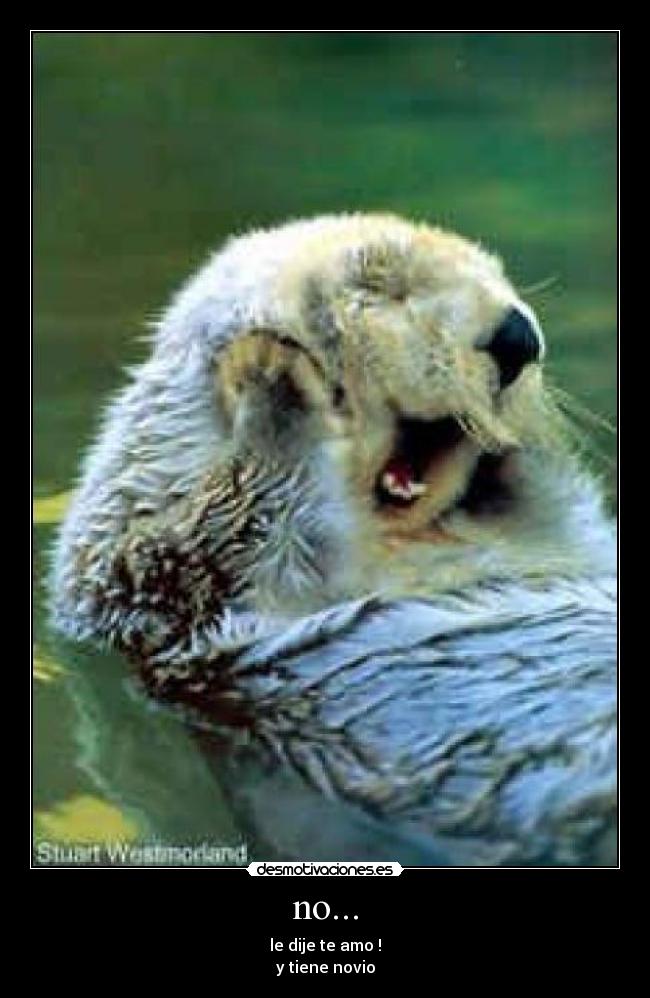no... - le dije te amo !
y tiene novio