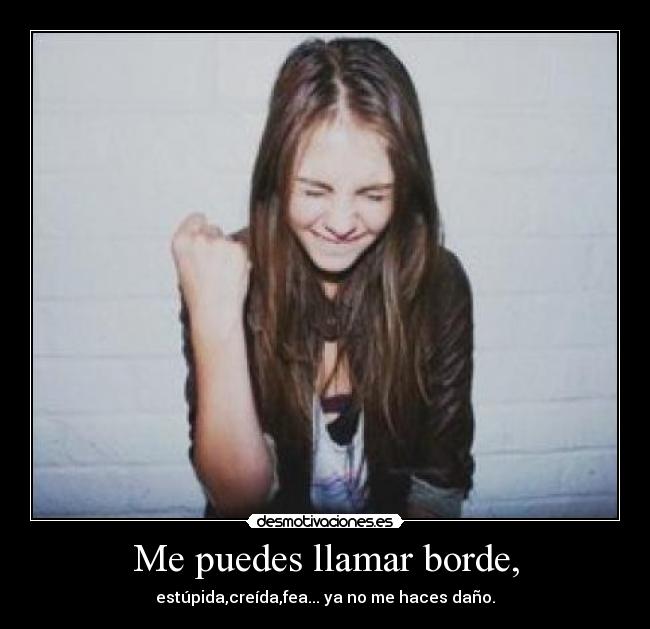 Me puedes llamar borde, - 