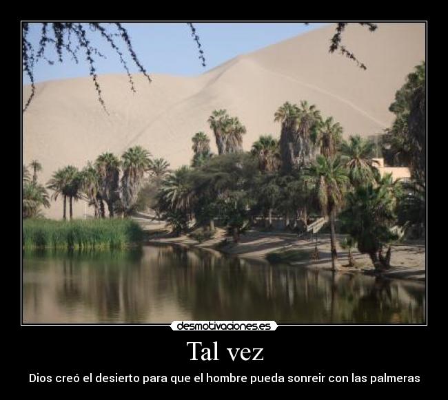 carteles oasis felicidad desmotivaciones