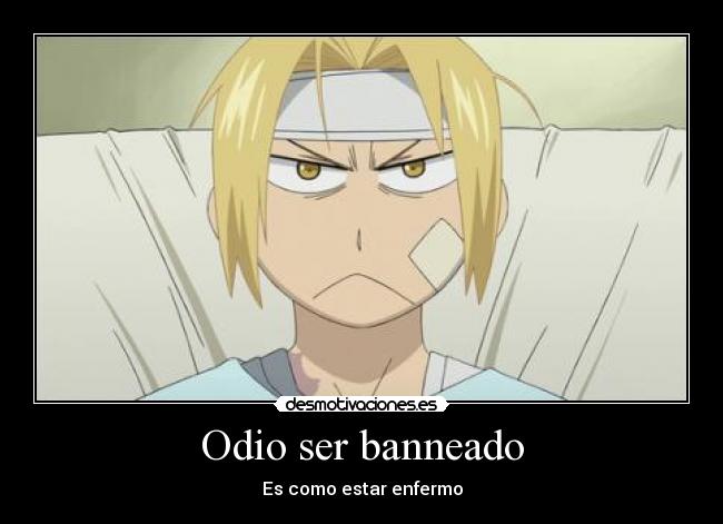 carteles odio borregoway presents full metal alchemist mola clandesplazado imperiodesplazado voto masivo mierda desmotivaciones