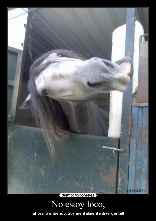 No estoy loco, -