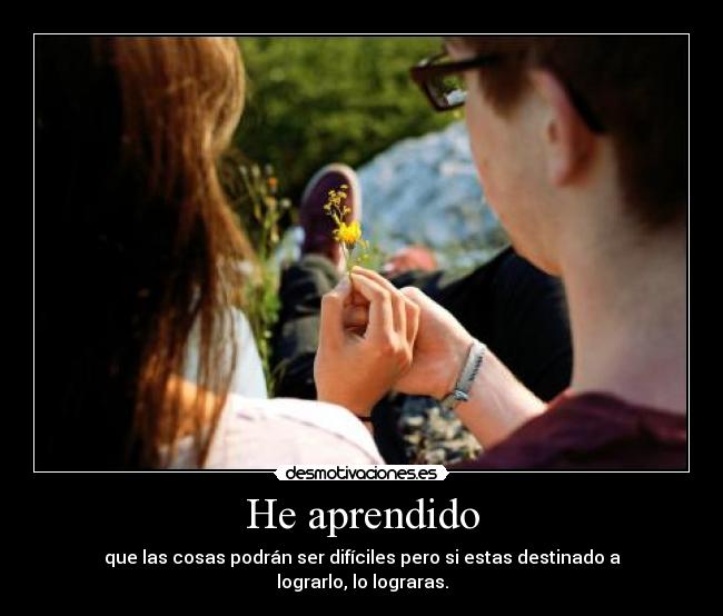 carteles patatas zanahorias desmotivaciones