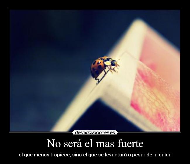 No será el mas fuerte - el que menos tropiece, sino el que se levantará a pesar de la caída