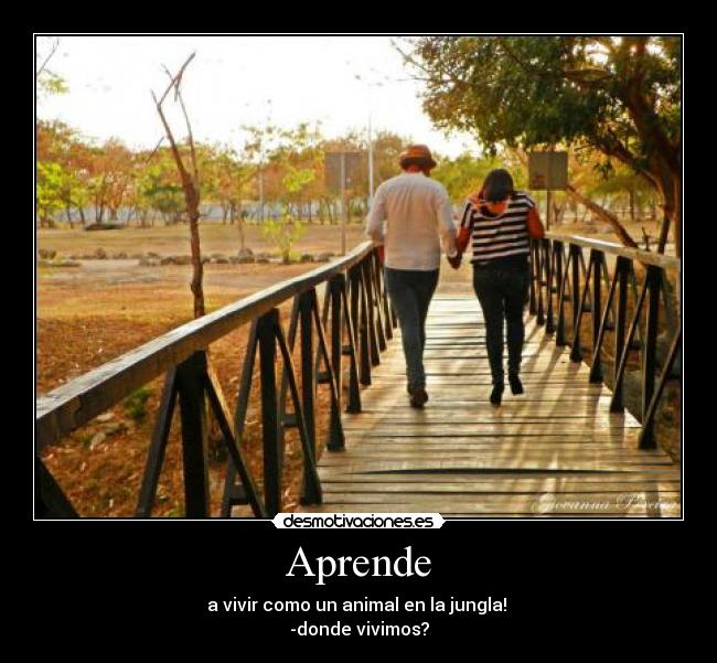 Aprende - a vivir como un animal en la jungla! 
-donde vivimos?