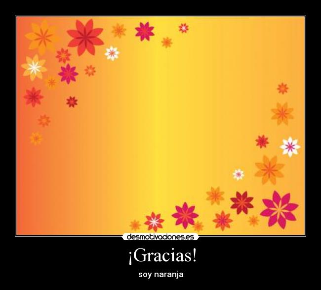 ¡Gracias! - 