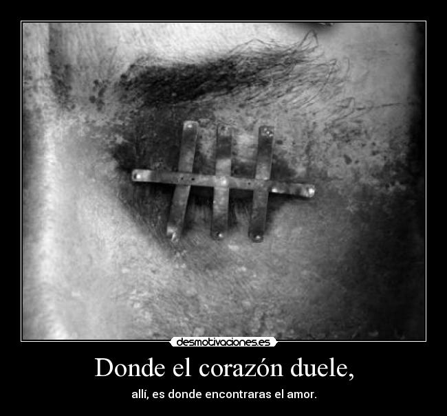 Donde el corazón duele, - allí, es donde encontraras el amor.