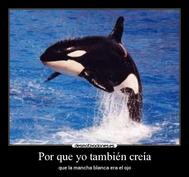 Por que yo también creía -