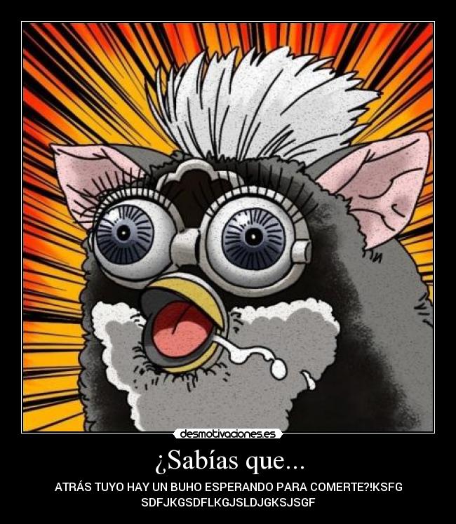 ¿Sabías que... - ATRÁS TUYO HAY UN BUHO ESPERANDO PARA COMERTE?!KSFG
SDFJKGSDFLKGJSLDJGKSJSGF