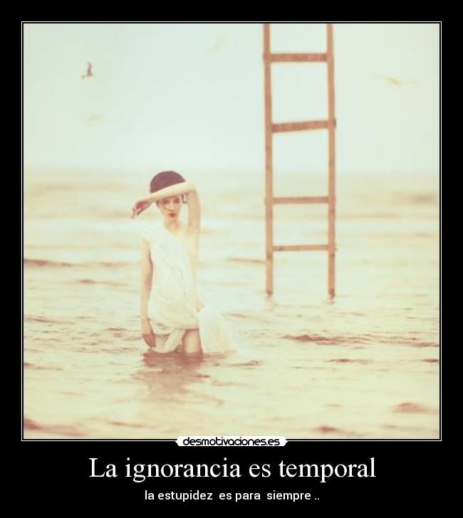 carteles ignorancia estupido desmotivaciones