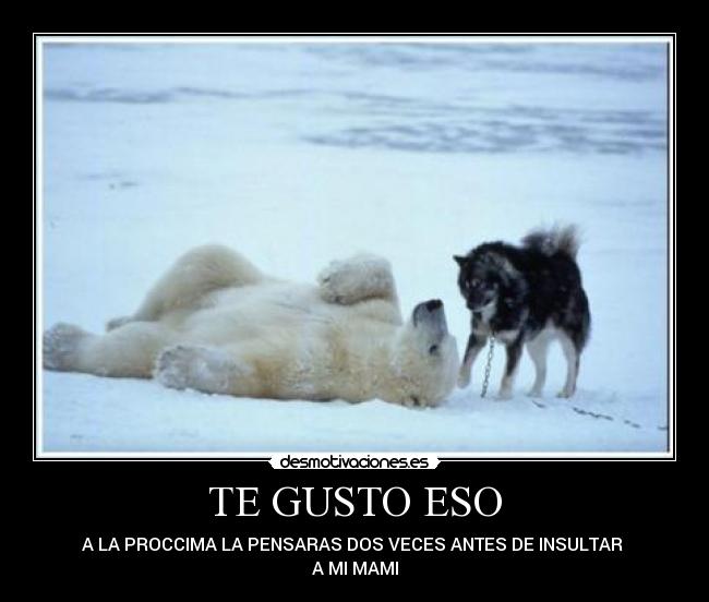 TE GUSTO ESO - 