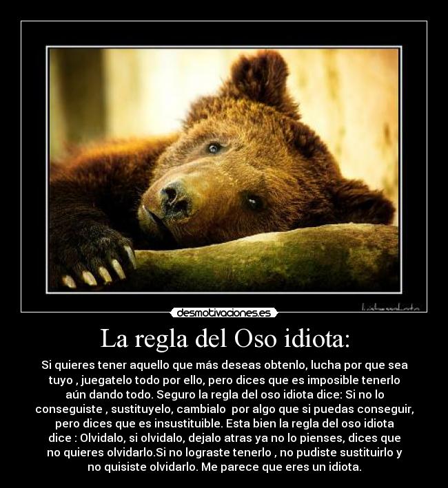 carteles regla del oso desmotivaciones