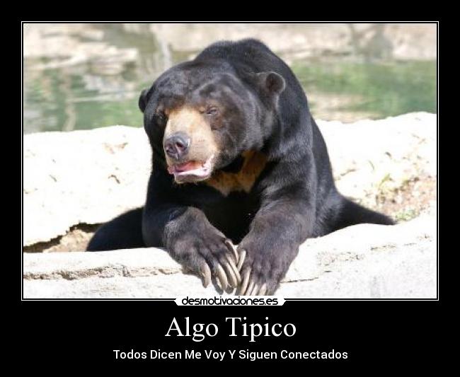 Algo Tipico - Todos Dicen Me Voy Y Siguen Conectados