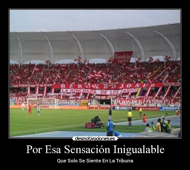 carteles hinchada los cantos desmotivaciones