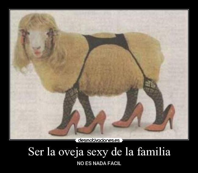 Ser la oveja sexy de la familia - 