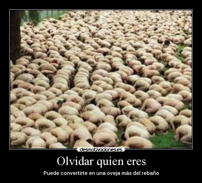 Olvidar quien eres -