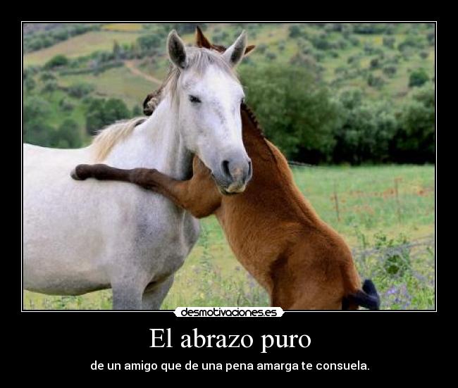 El abrazo puro - de un amigo que de una pena amarga te consuela.