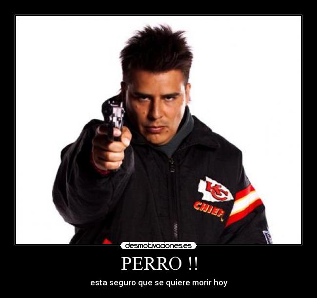 PERRO !! - esta seguro que se quiere morir hoy