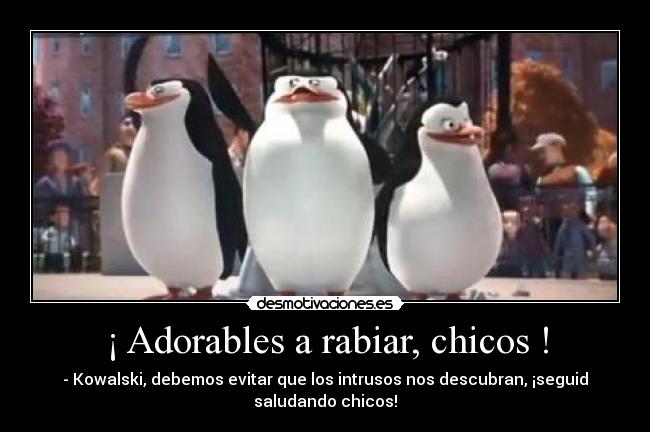¡ Adorables a rabiar, chicos ! - 