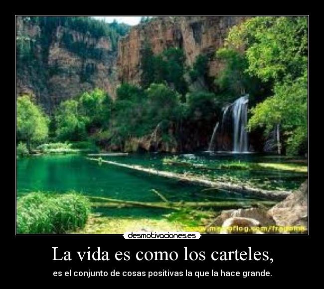 carteles vida rcm10 desmotivaciones
