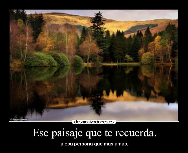 carteles amor desmotivaciones