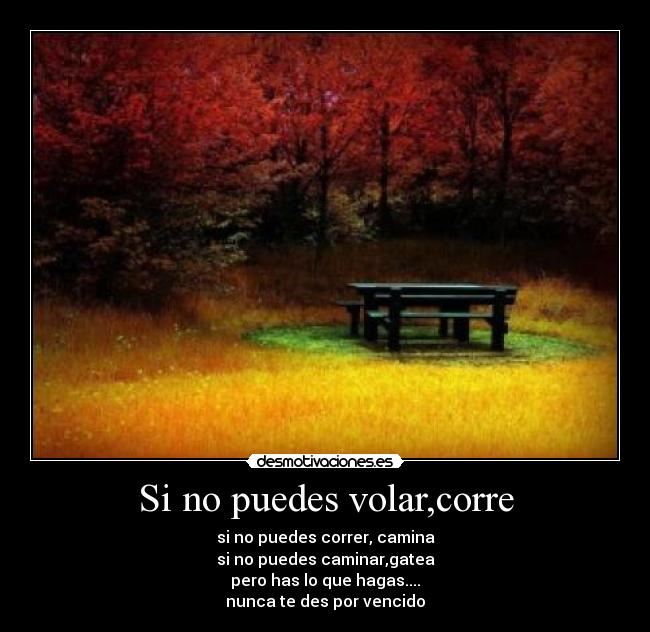 Si no puedes volar,corre -