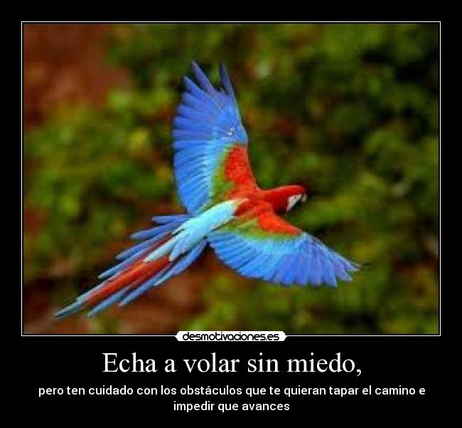 Echa a volar sin miedo, - pero ten cuidado con los obstáculos que te quieran tapar el camino e
impedir que avances