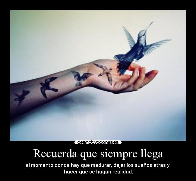 carteles suenos desmotivaciones