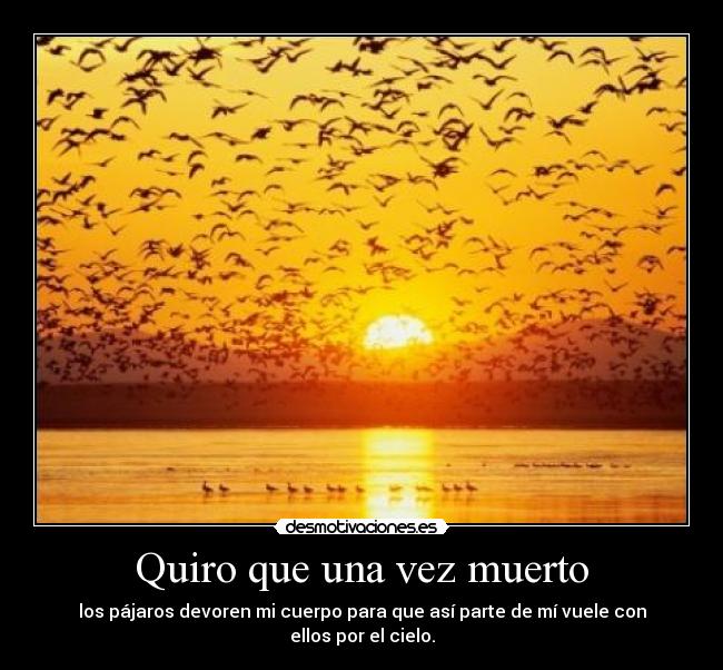Quiro que una vez muerto - los pájaros devoren mi cuerpo para que así parte de mí vuele con ellos por el cielo.