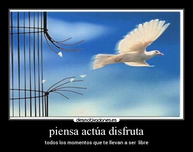 piensa actúa disfruta - todos los momentos que te llevan a ser libre