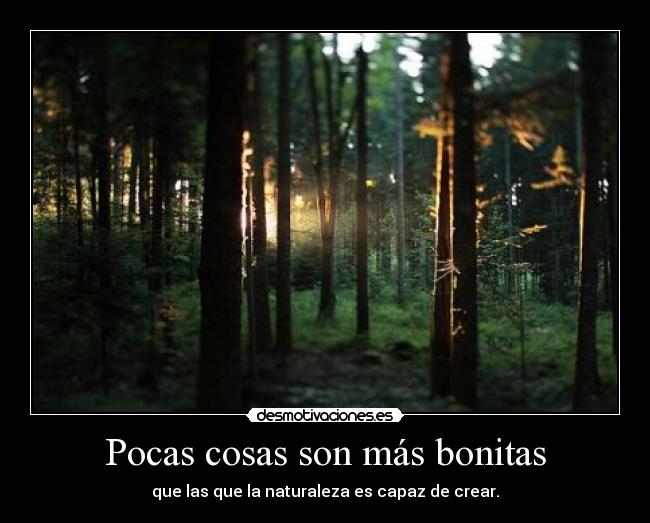 Pocas cosas son más bonitas - 