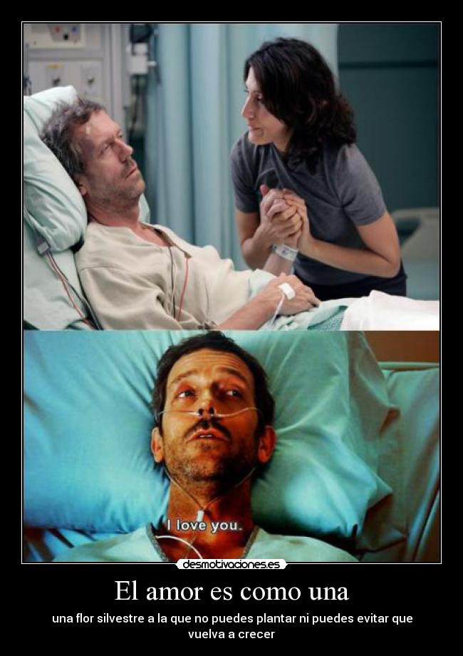 El amor es como una -