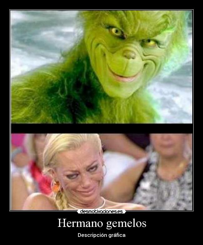 Hermano gemelos - Descripción gráfica