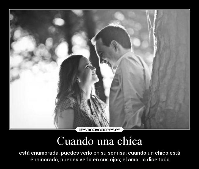 carteles tequiero desmotivaciones