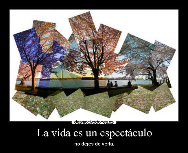 La vida es un espectáculo - no dejes de verla.