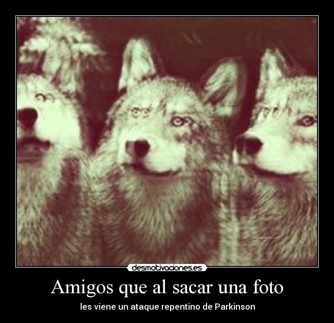 Amigos que al sacar una foto - les viene un ataque repentino de Parkinson