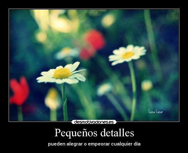 Pequeños detalles - pueden alegrar o empeorar cualquier día